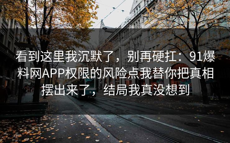 看到这里我沉默了，别再硬扛：91爆料网APP权限的风险点我替你把真相摆出来了，结局我真没想到
