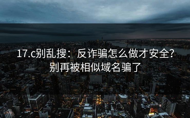 17.c别乱搜：反诈骗怎么做才安全？别再被相似域名骗了
