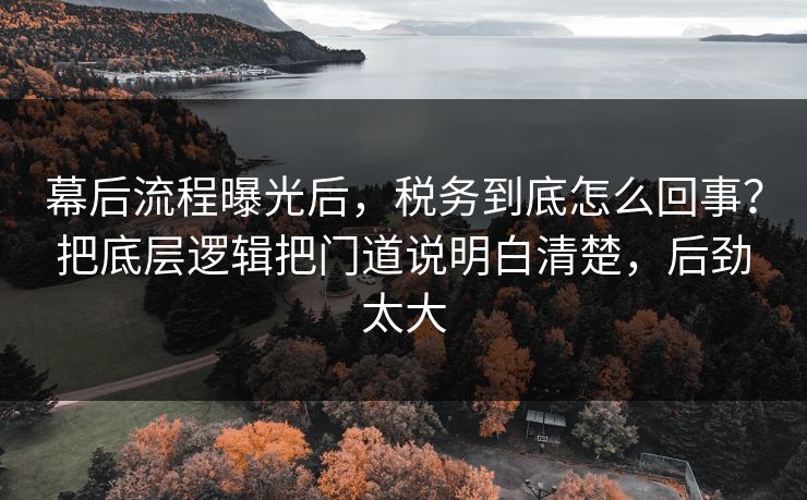 幕后流程曝光后,税务到底怎么回事?把底层逻辑把门道说明白清楚,后劲太大 幕后流程曝光后,税务到底怎么回事?把底层逻辑把门道说明白清楚,后劲太大
