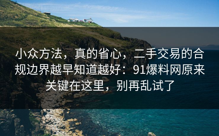 小众方法,真的省心,二手交易的合规边界越早知道越好:91爆料网原来关键在这里,别再乱试了 小众方法,真的省心,二手交易的合规边界越早知道越好:91爆料网原来关键在这里,别再乱试了