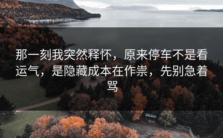 那一刻我突然释怀,原来停车不是看运气,是隐藏成本在作祟,先别急着骂 那一刻我突然释怀,原来停车不是看运气,是隐藏成本在作祟,先别急着骂