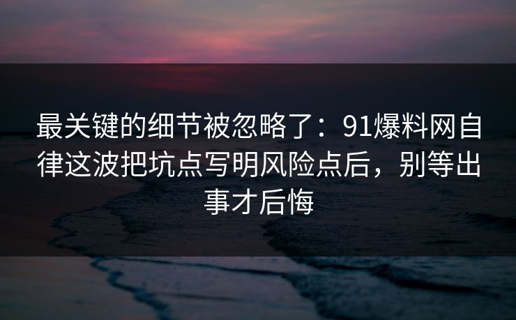 最关键的细节被忽略了：91爆料网自律这波把坑点写明风险点后，别等出事才后悔