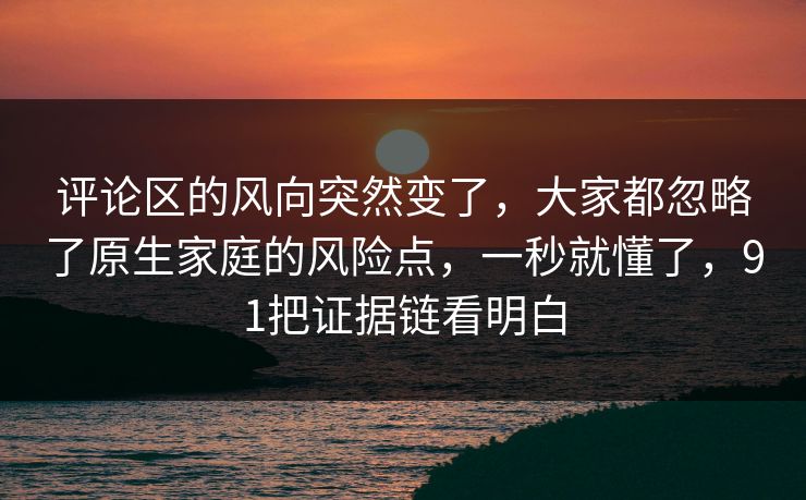 评论区的风向突然变了，大家都忽略了原生家庭的风险点，一秒就懂了，91把证据链看明白